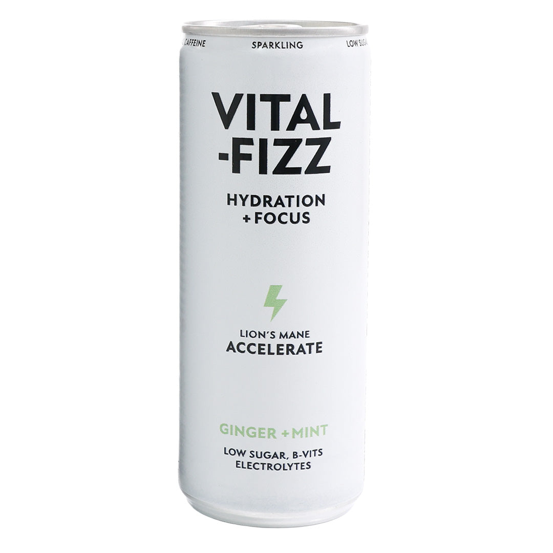 Vital-Fizz - Ginger + Mint